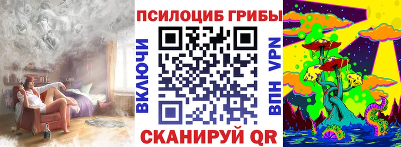 купить наркоту  Алексин  Галлюциногенные грибы Psilocybe 